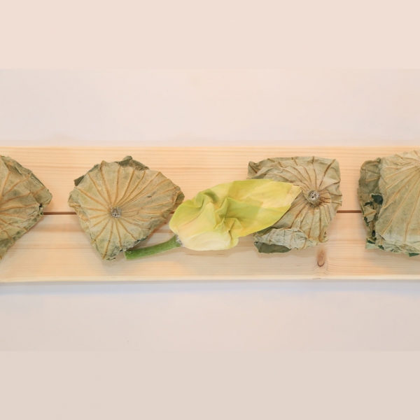 함안몰,고려백연 연잎밥 200g X 4개